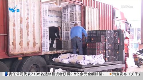 元旦假期厦门增加主要副食品投放 保障市场供应